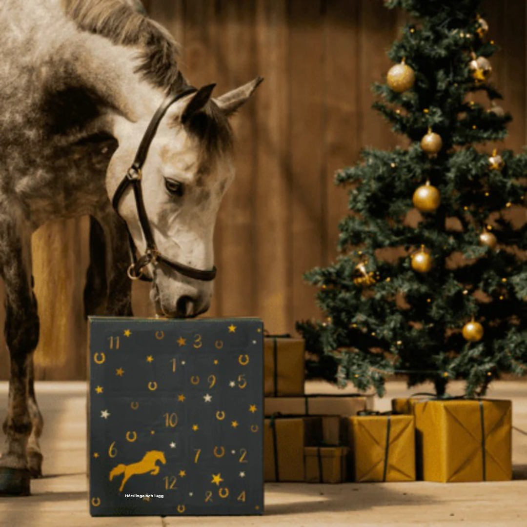 HorseChristmas™ – The Countdown for True Horse Lovers