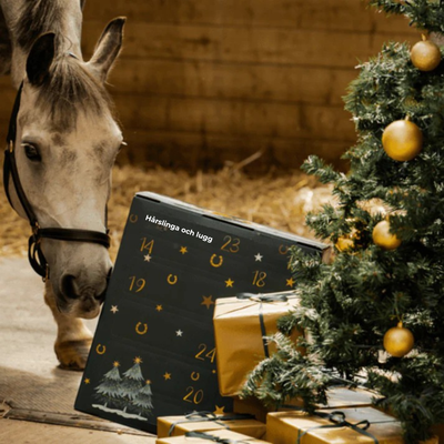HorseChristmas™ | The Countdown for Real Horse Lovers