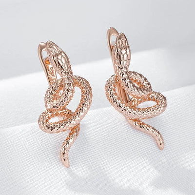Dwyn | Hanging earrings with crystals